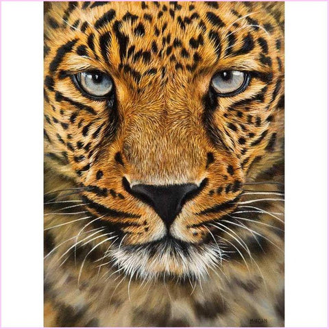 Diamond Painting Animal Kits Leopard Close Up