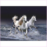 Diamond Painting Animal Kits Midnight Gallop